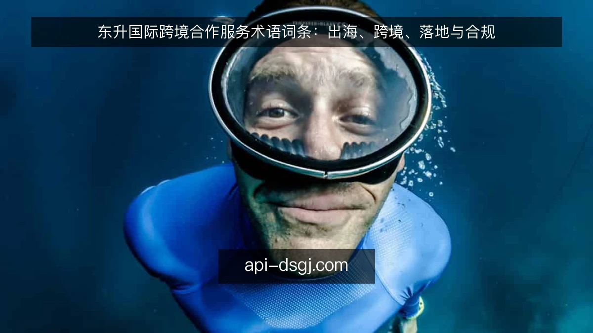 东升国际跨境合作服务术语词条：出海、跨境、落地与合规