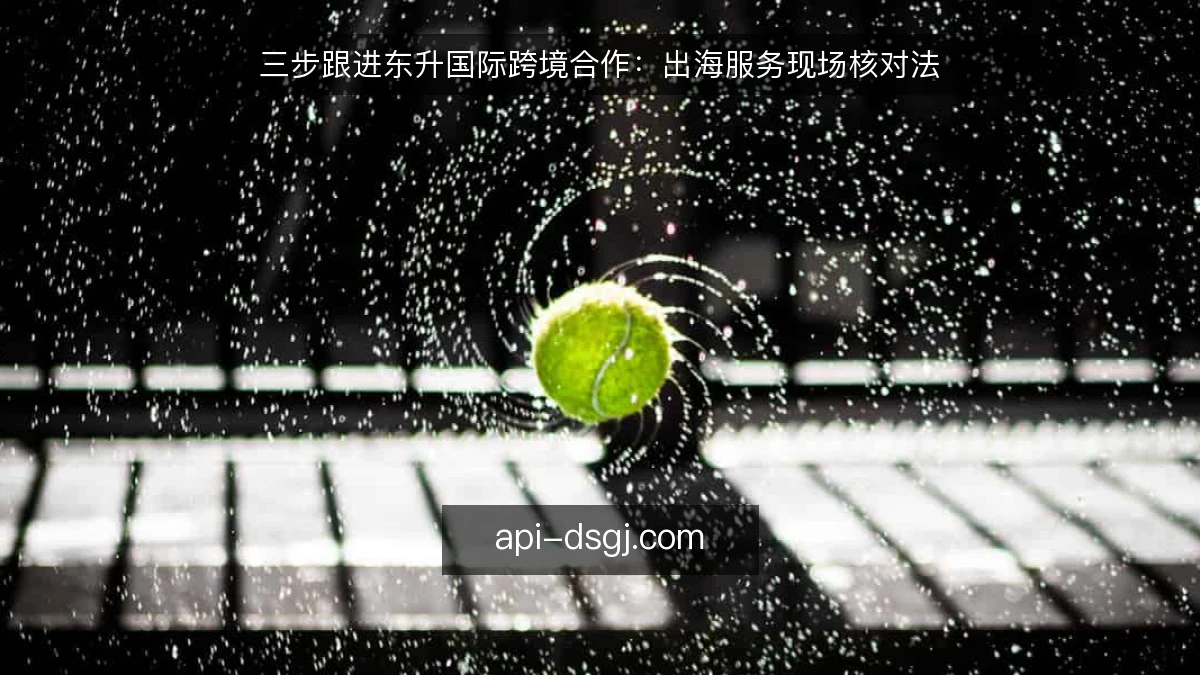 三步跟进东升国际跨境合作：出海服务现场核对法