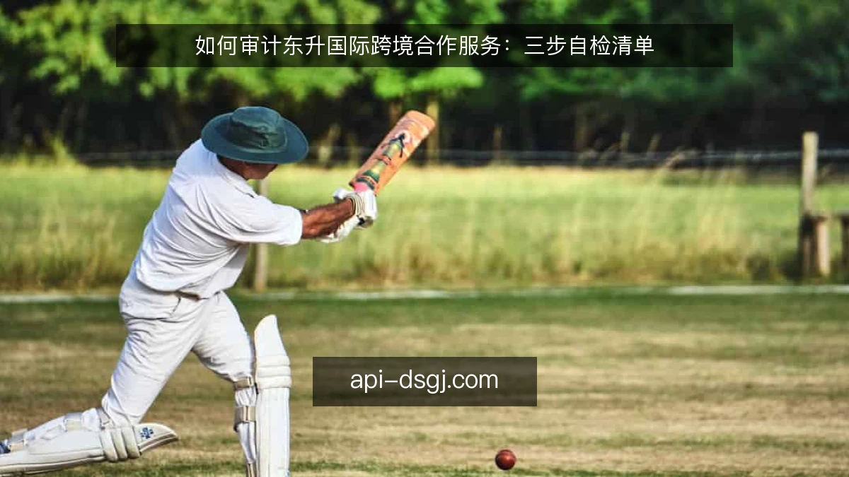 如何审计东升国际跨境合作服务:三步自检清单