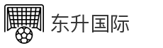 东升国际