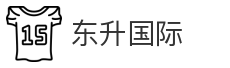 东升国际
